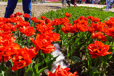 Similar image 21814301