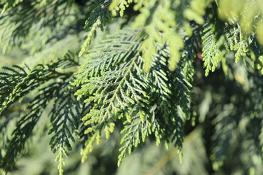 Similar image 21812236