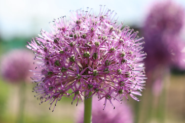 Similar image 21812238