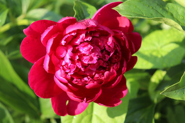 Similar image 21812239