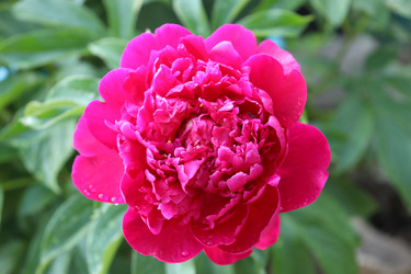 Similar image 21812240