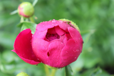 Similar image 21812241