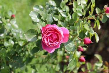 Similar image 21812242