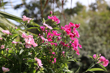 Similar image 21812243