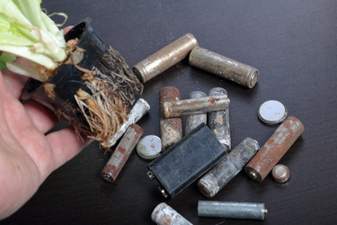 Similar image 21812036