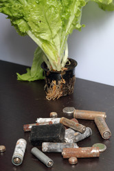 Similar image 21812038