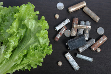 Similar image 21812044