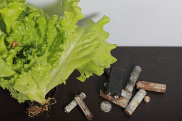 Similar image 21812052