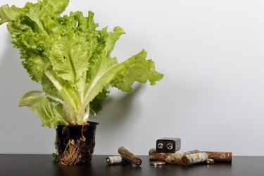 Similar image 21812054