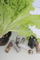 Similar image 21812056