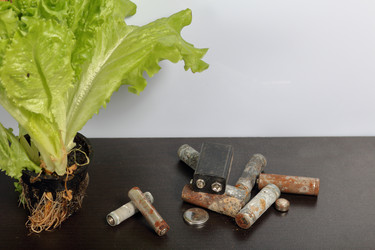 Similar image 21812057