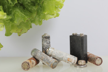 Similar image 21812061