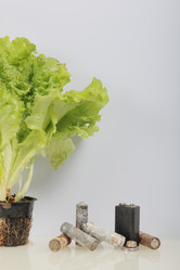 Similar image 21812064