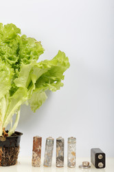 Similar image 21812068