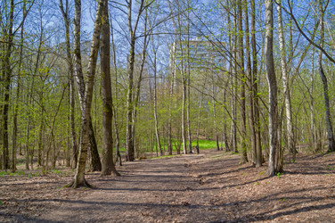 Similar image 21811531