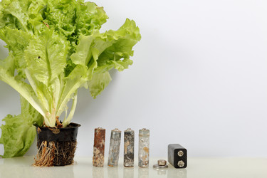 Similar image 21812071