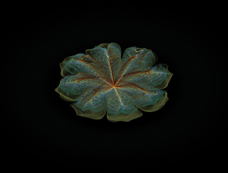 Similar image 21814010