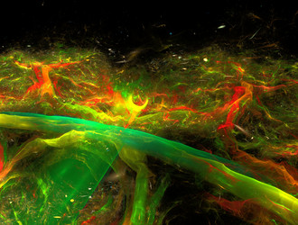 Similar image 21814012