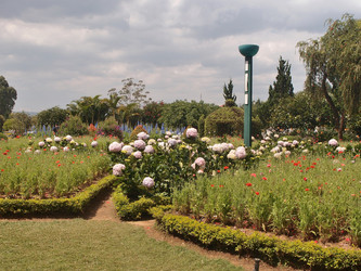 Similar image 21811557