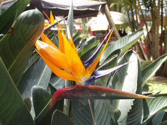 Similar image 21811560