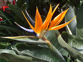 Similar image 21811561