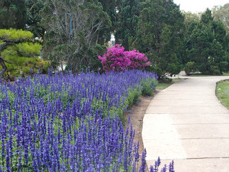 Similar image 21811562