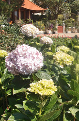 Similar image 21811566