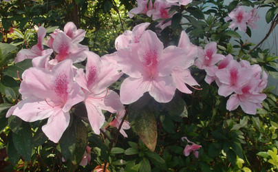 Similar image 21811570