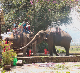 Similar image 21811572