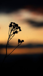 Similar image 21811576