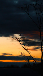 Similar image 21811577