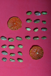 Similar image 21812143