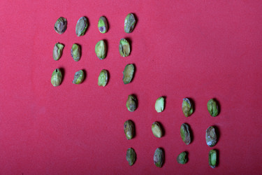 Similar image 21812144