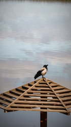 Similar image 21811578