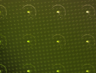 Similar image 21814146