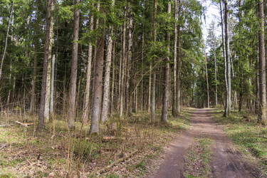 Similar image 21811652