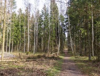 Similar image 21811656