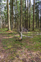 Similar image 21811657