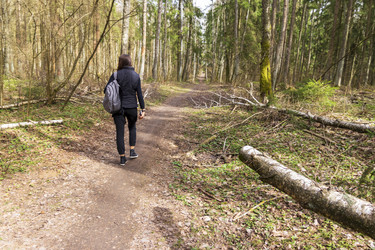 Similar image 21811659