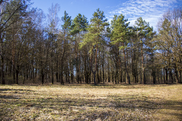 Similar image 21811662