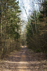 Similar image 21811664