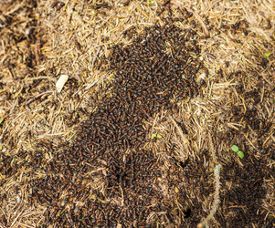 Similar image 21811665