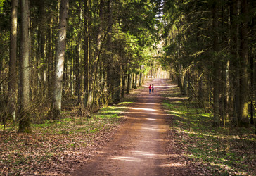 Similar image 21811668