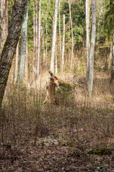 Similar image 21811669