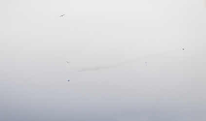 Similar image 21811670