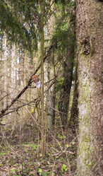 Similar image 21811676