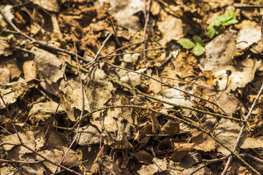 Similar image 21811680