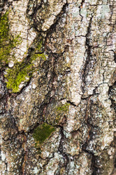 Similar image 21811682