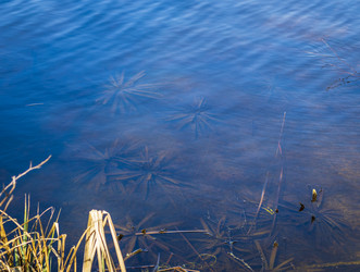 Similar image 21811683