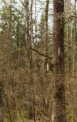 Similar image 21811686